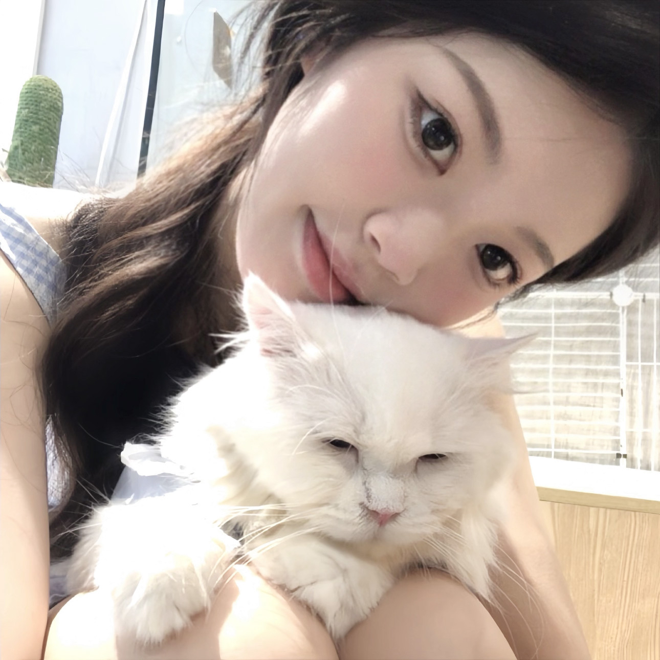 中文九色星空无需会员黄网